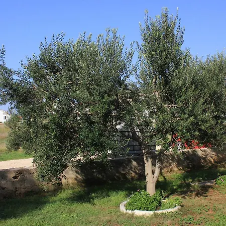 With A Parking Space Povljana, Pag - 9405 Apartman